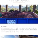 보스케 이미지