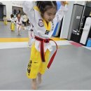 강인아이 태권도 이미지