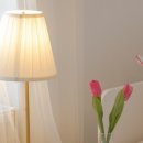 마이디어 민박 이미지