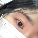 서울남사초등학교 | 사당 이수 디보떼 속눈썹펌 하고온 후기