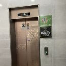 청원빌딩 화장실 | 청주 화이트태닝 "몰디브태닝 율량점" N번 방문한 후기(+주차, 예약방법)