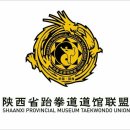 용인대타이곤 태권도 체육관 이미지