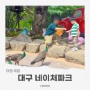 (주)네이쳐 | 대구 네이처파크 후기 주차 할인 백사자 카피바라까지 아이와 다녀온 솔직후기