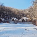 오마켓 | 여주 반려동물 동반 바비큐 식당 추천｜야외에서 강아지와 함께 즐기는 산오마켓 후기