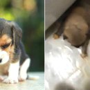 모텔알(R) 이미지