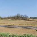 화순믿음공인중개사사무소 이미지