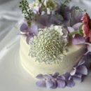 가드너리(GARDENARY) 네이버블로그