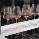 비온디 | 비온디-산티, 브루넬로 디 몬탈치노(Biondi-Santi, Brunello di Montalcino) 2017