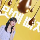 조이식품 데일리안