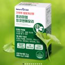 포인 이미지