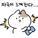 와일드복싱짐 안양관 이미지