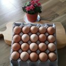 우촌 농장 이미지