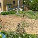 배드민턴전용구장 이미지