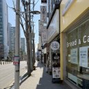 이동4공원 공영주차장 | [포항/이동] 카페고잇 포항 신상 카페 고양이와 함께하는 브런치 카페 (feat. 내돈내산)