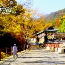 계룡산1박2일 이미지