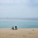 바다정원 이미지