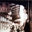 연연풍진 이미지