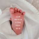 로하스모텔 | 봄빛병원 산후조리원 2관 후기ㅣ선택이유, 프로그램, 식사 등