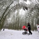 사진촬영(기초) 이미지