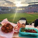 야구장1 | 다이소 돗자리 피크닉 야구장 외야석 후기 +1년 사용