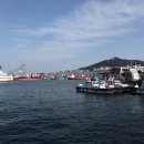 부산항 이미지