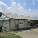 옥천면사무소 이미지