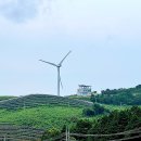 서광 태양광발전소 이미지