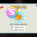 오렌지펫 이미지