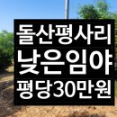 돌산공인중개사사무소 이미지