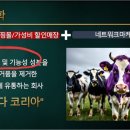 햄프코리아