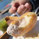 붐애견 | 탑정호카페 어드레스붐도넛 논산애견동반카페 도넛맛집 출렁다리 여행코스 재방문