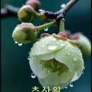 간추린 뉴스 이미지