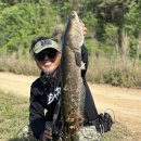 종점낚시 이미지