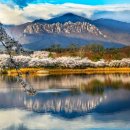 영랑호 입구 이미지