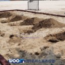 배명고등학교 이미지