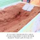 생생생공화국 이미지
