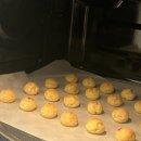 스테이더크로스 이미지