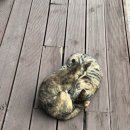 백봉호텔 | 그냥 과식하는 일상 31