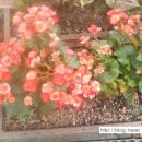 빈노래연습장 이미지