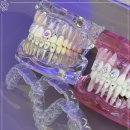 디퍼스트치과의원 이미지