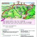 제 181차 정기산행 - 충남 홍성 용봉산 산행 이미지