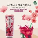 스타벅스 이미지
