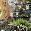 한농종묘농약사 네이버블로그