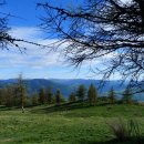 내면의 평온을 찾는 명상 이미지