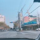 꽃 천국, 대구 칠성 꽃시장 꽃백화점 다녀온 후기/칠성동/대구역/칠성시장/플라워/플로리스트