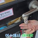 아잉독 애견카페 이미지