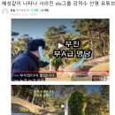 귀족풍수는 결과에 짜맞추어 발복처를 찾는다(강덕수 선영의 발복처) 이미지