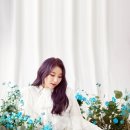 채연헤어 - 도봉구 | 채연헤어