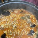 머피애견 | 대부도 중대형견 애견동반 카라반 여행 1일차 (보더콜리·셀티)