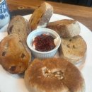 와룡목장 이미지